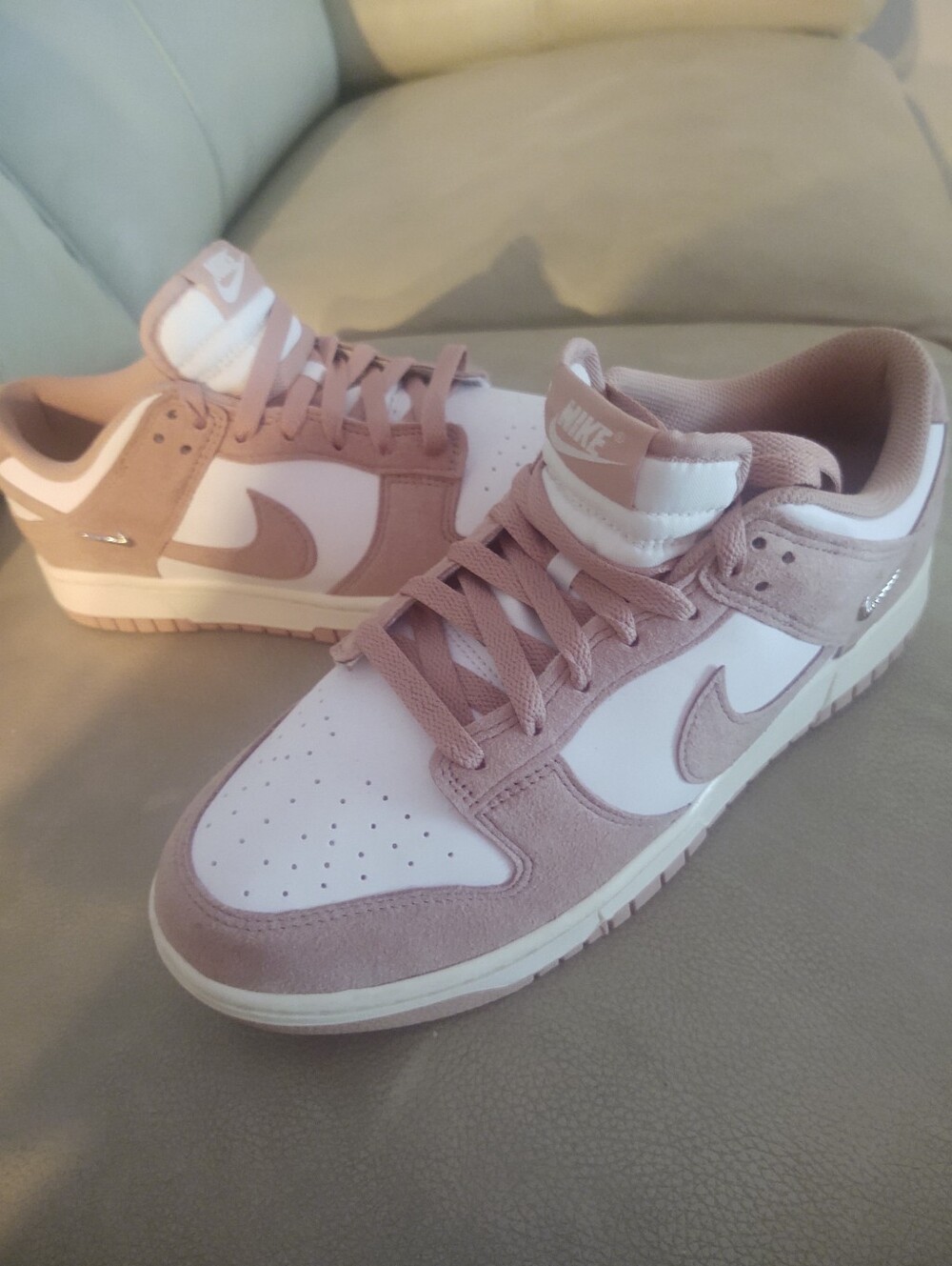 Nike Dunk Low Women's "Particle Pink / Metallic Silver" Shoe